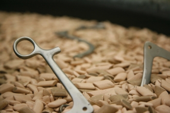 aiim-knwo-how-transfer-1390299521